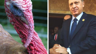 recep-tayyip-erdogan-r-and-a-turkey-l-1200x900-1-768x576_0nhEb.jpg