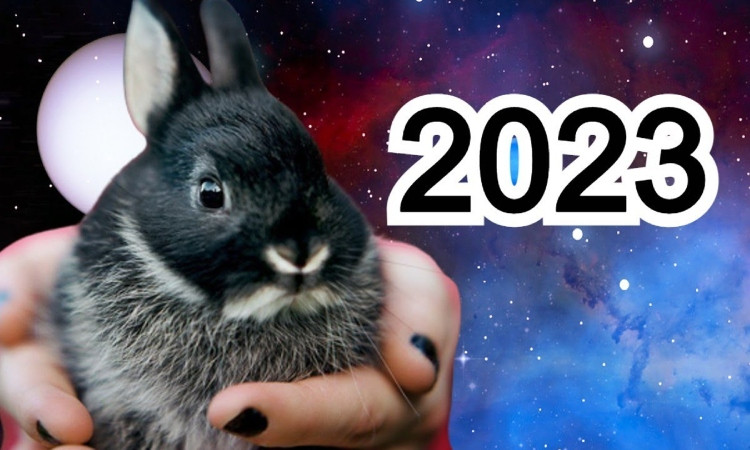 2023-tvakan_yb8e6.jpg