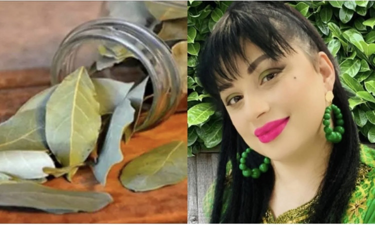 ani-grigoryan_SX2Tk.jpg