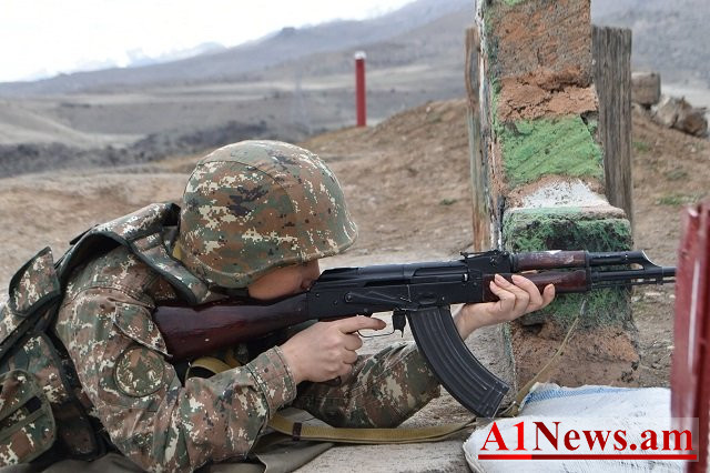 zinvor_qldzS.jpg